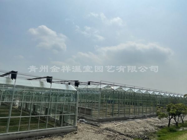 上海連棟玻璃溫室